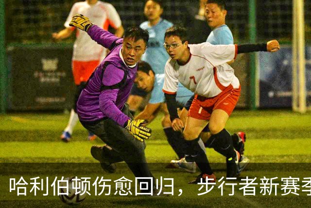 哈利伯顿伤愈回归，步行者新赛季观赛指南来了