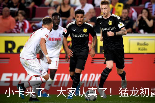 小卡来了，大家认真了！猛龙初露锋芒，三大数据印证东部霸主崛起